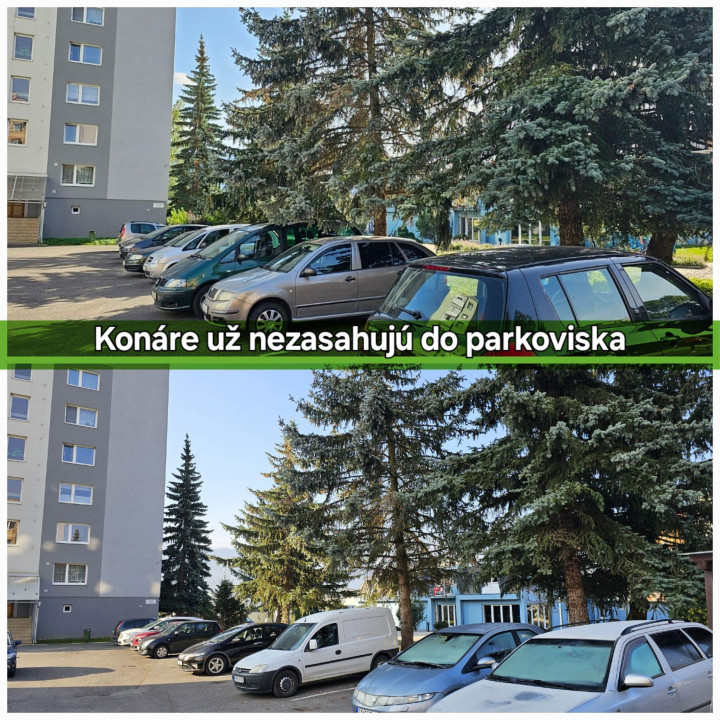 Konáre už nezasahajú do parkoviska.